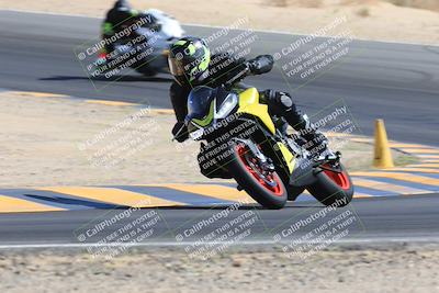 media/May-13-2023-SoCal Trackdays (Sat) [[8a473a8fd1]]/Turn 10 (920am)/